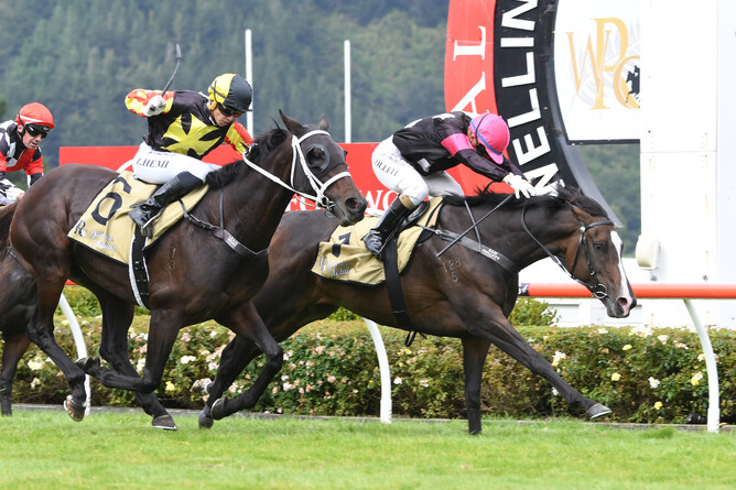 Coventina Bay (inner) proves too strong for Jessiegee as she takes out the Gr.3 Wentwood Grange Cuddle Stakes (1600m) at Trentham Photo Credit: Race Images – Peter Rubery