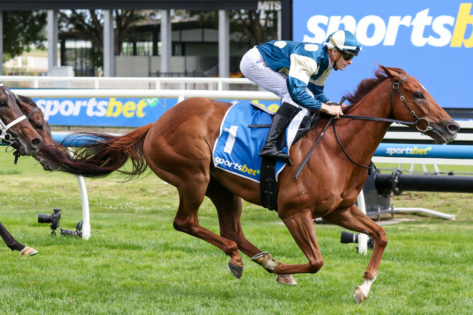 Jimmysstar dazzled again at Caulfield, claiming his third Group One title in the A$1 million CF Orr Stakes (1400m). - Photo: Bruno Cannatelli