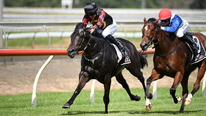 Force Of Nature winning the Listed Legacy Lodge Sprint (1200m) at Pukekohe on Saturday. - Photo: Kenton Wright (Race Images)