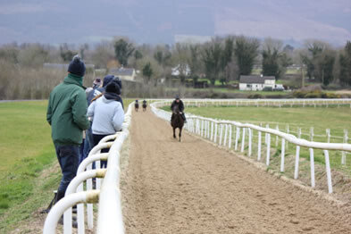 Sand and fibre up hill gallop at Con Marnane’s