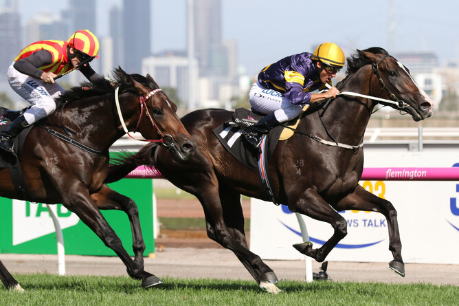 Grunt - Bruno Cannatelli