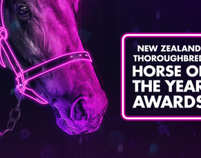 New Zealand Thoroughbred Horse Of The Year Awards Finalists