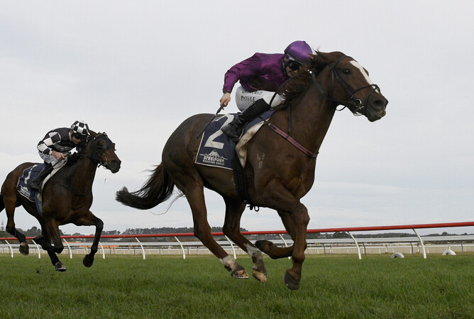 Belardo Boy powers through the heavy conditions to win the Listed AGC Training Stakes (1600m) at Wanganui.   - Photo: Peter Rubery (Race Images Palmerston North)