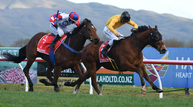 Callsign Mav (yellow) holds out the challenge of Spring Tide to claim his second successive Gr.1 Tarzino Trophy (1400m) at Hastings Photo Credit: Race Images – Peter Rubery