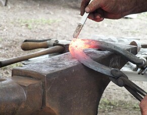 Update from the New Zealand Farriers Association