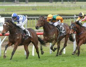 Broodmare&rsquo;s unretirement works wonders for Pencarrow