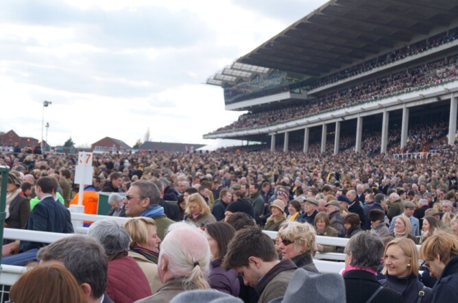 A crowd of around 65,000 at Cheltenham