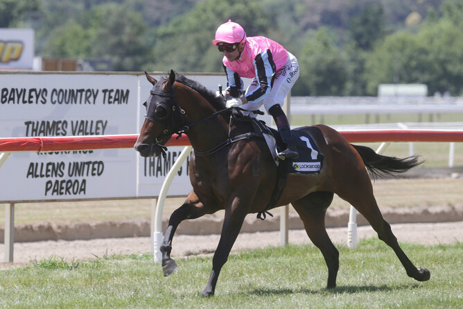 Kabugee heads to the winning post for a comfortable debut victory at Te Aroha - Photo: Trish Dunell