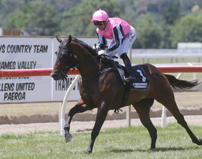 First winner for Satono Aladdin