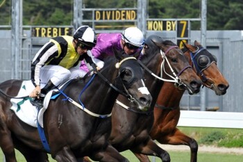 Pero wins the Group 3 Thompson Handicap at Wellington - Photo: NZTM website