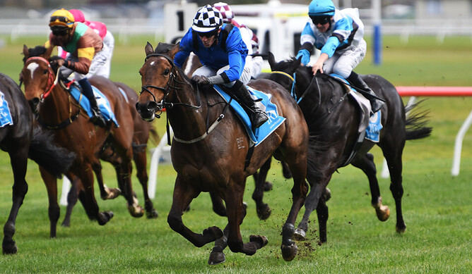 Fon Memories winning at Avondale on Wednesday. - Photo: Kenton Wright (Race Images)