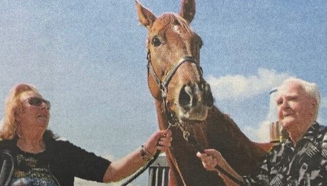 Marj and Sam Brosnan pictured with their 2011 Great Northern Hurdle winner Southern Countess