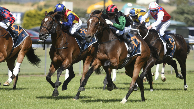 Son of Sun winning the Gr.3 Queen Elizabeth II Cup (2400m).   - Photo: Kenton Wright (Race Images)
