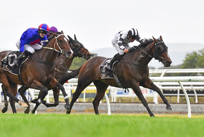 Craig Grylls drives Tavattack to victory in the Listed Bramco Granite & Marble Flying Handicap (1400m) - Photo: Race Images, Peter Rubery