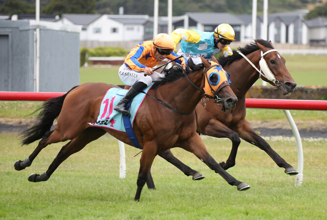 La Dorada winning the Gr.2 Levin Track Supporters Levin Classic (1400m) at Trentham on Saturday.   - Photo: Peter Rubery (Race Images)