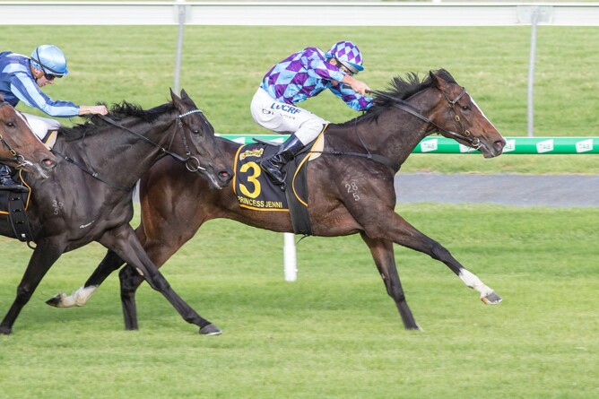 Princess Jenni continues to impress winning the Gr.1 Australasian Oaks at Morphettville - Bradley Photographers