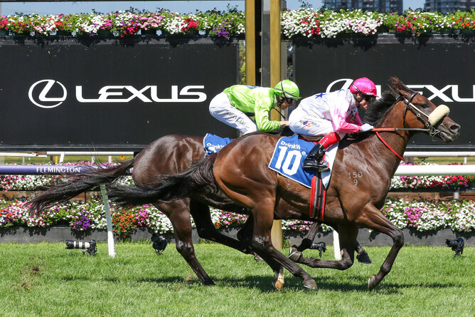 Von Hauke scores his first black-type victory in Saturday’s A$200,000 Gr.3 Furphy Shaftesbury Avenue Handicap (1400m) at Flemington.  - Photo: Bruno Cannatelli