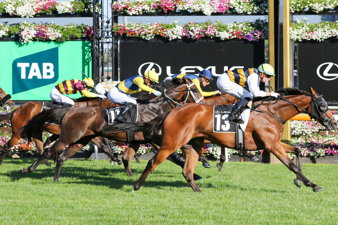 Mark Twain flew home to win the Listed Lexus Roy Higgins at Flemington, securing a Melbourne Cup berth in the process.  - Photo: Bruno Cannatelli