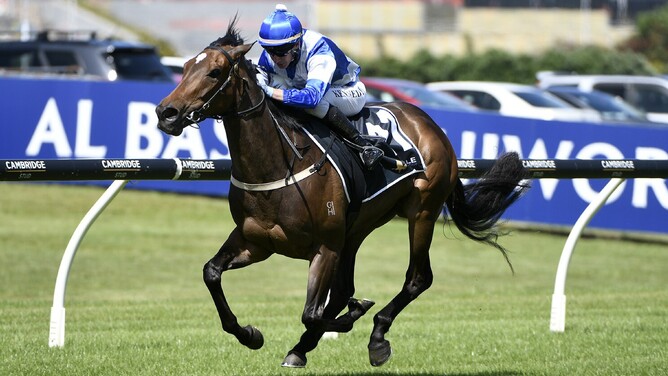 Pulsatilla winning the Listed Trevor & Corallie Eagle Memorial 3YO (1500m) at Ellerslie on Saturday.  - Photo: Kenton Wright (Race Images)