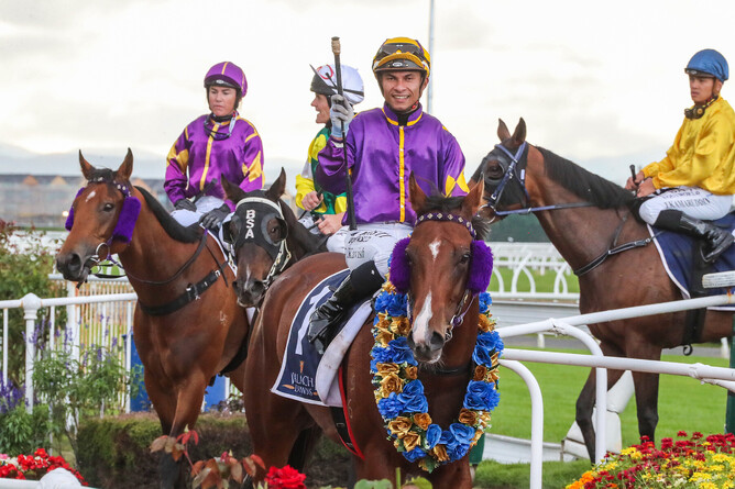 Live Drama returns a winner in the Gr.3 South Island Thoroughbred Breeders' Stakes. - Photo: Race Images South