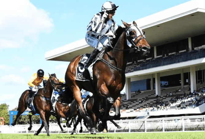 Belclare and Sam Spratt collect back-to-back titles in the Gr.1 NZEA New Zealand Thoroughbred Breeders’ Stakes (1600m) at Ellerslie.   - Photo: Kenton Wright