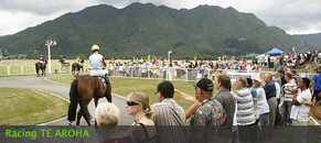 Big Day Out for All NZTBA Members