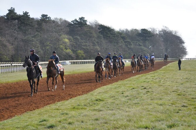 A string walk home after completing their work up Warren Hill