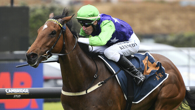 Checkmate carrying the Okaharau Station colours to victory in Saturday’s Listed Armacup Stakes (1500m) at Ellerslie.   - Photo: Kenton Wright (Race Images)