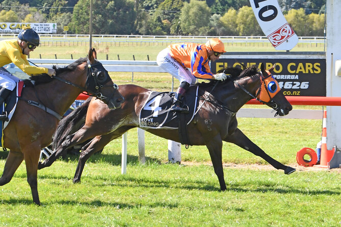 Avantage (inner) is at full stretch to hold out Callsign Mav in the Gr.1 El Cheapo Cars Weight-For-Age Classic (1600m) at Otaki Photo Credit: Race Images – Peter Rubery