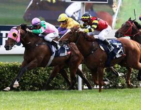 Leading stud on a roll