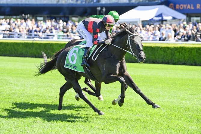 Damian Lane guides Belle Detelle to victory in the Adrian Knox Stakes - Photo: bradleyphotos.com.au