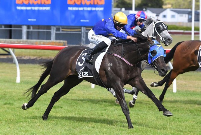 Mapperley Stud-bred gelding Wolfgang winning Saturday's Gr.3 Wellington Cup (3200m) at Trentham.   - Photo: Peter Rubery