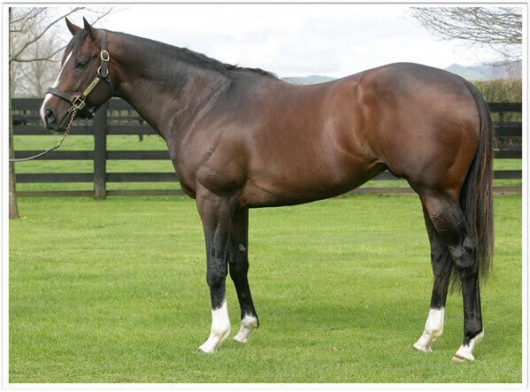 Falkrik. Photo: Supplied