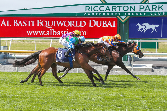 Campionessa does best in a tight finish to the Listed Nautical Boat Insurance Metropolitan Trophy (2500m) - Photo: Race Images South