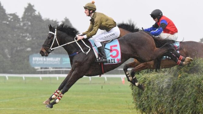 Jesko winning the Wellington Steeplechase (4900m) at Trentham on Saturday.  - Peter Rubery (Race Images Palmerston North)