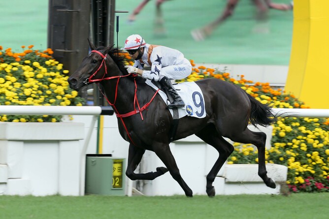 Courier Wonder winning the Gr.3 Sha Tin Vase (1200m) Photo: HKJC