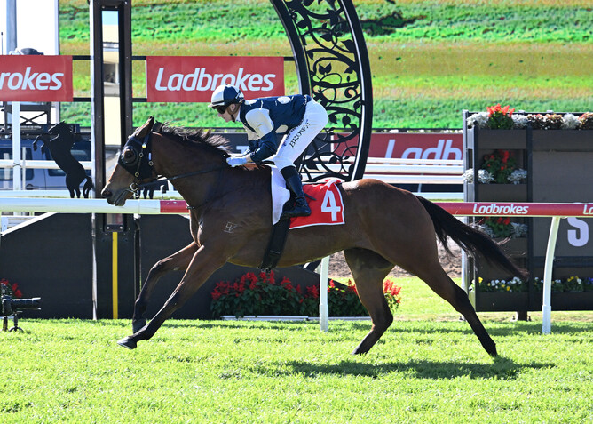 Pier winning the Listed The Wayne Wilson (1600m) at Eagle Farm on Saturday.   - Photo: Grant Peters