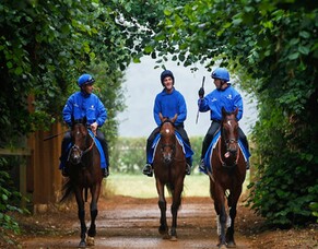 Benji’s Blog – May 2015