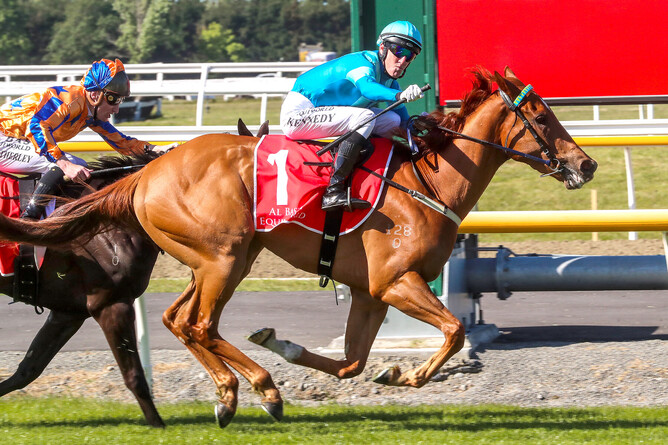 Warren Kennedy celebrates Crocetti's Gr.1 Al Basti Equiworld NZ 51st 2000 Guineas (1600m) victory at Riccarton Park on Saturday. - Photo: Race Images South