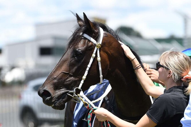 Group winner Mazzolino has been retired. - Photo: Kenton Wright (Race Images)
