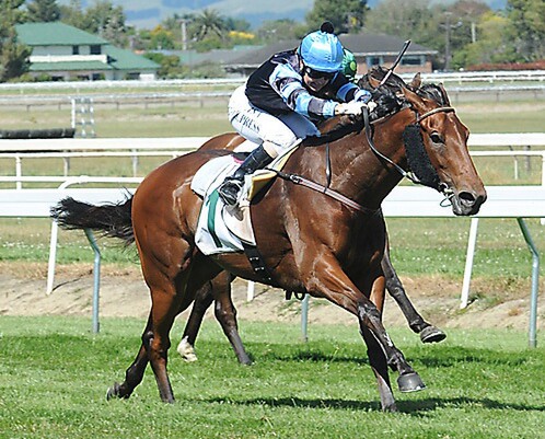 Soriana takes out the Group 3 Eulogy Stakes at Awapuni. - Photo: NZTM website