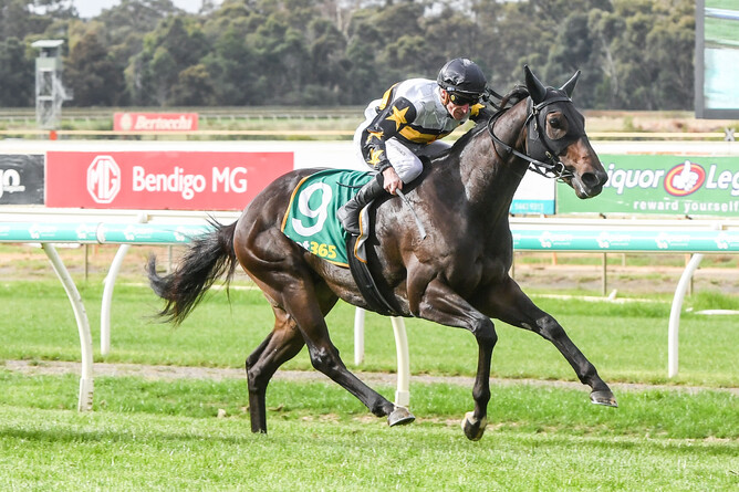 Here To Shock has the situation well under control at Bendigo - Photo: Brett Holburt, Racing Photos