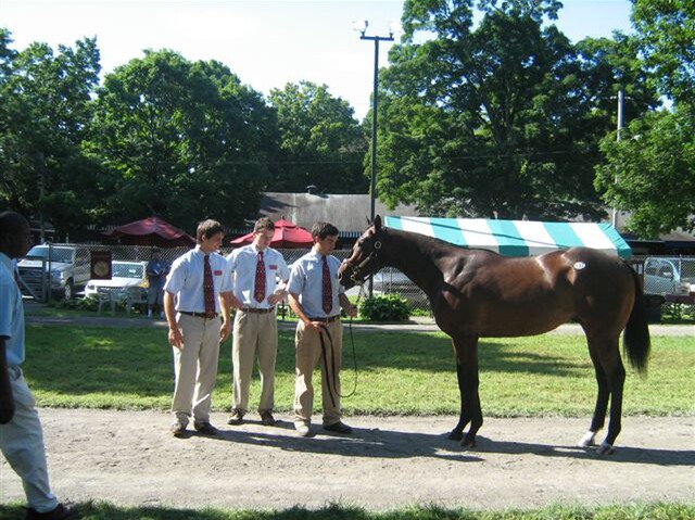 Me, Juan and Danny with the AP Indy Platinum Tiara Taylor Made sales topper