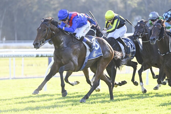 Palmetto (photo from a previous win in Australia) - Photo: bradleyphotos.com.au