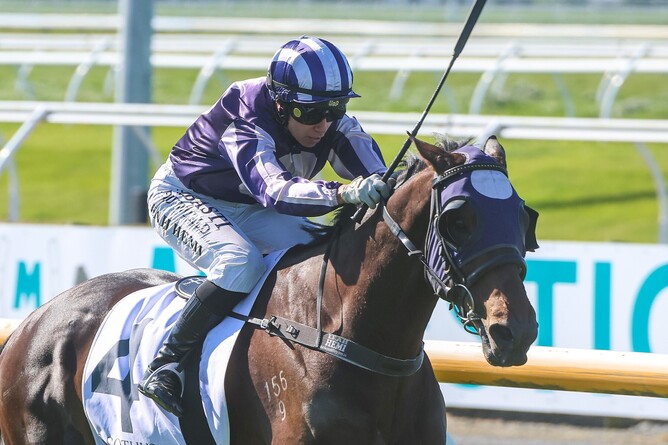 Sir Albert winning the Listed Sothys Spring Classic (2000m) at Riccarton on Saturday.  - Photo: Ajay Berry (Race Images South)