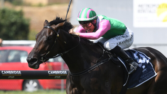 Positivity springs an upset under Masa Hashizume in the Gr.3 McKee Family Sunline Vase (2100m) at Ellerslie.   - Photo: Kenton Wright (Race Images)