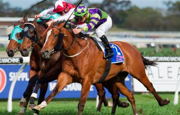 Dual Group-winner Rolling Pin - Photo: NZTM Website