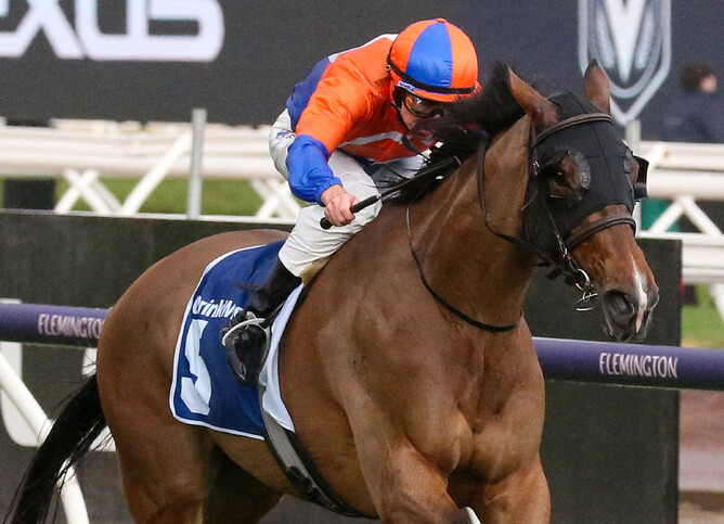 Grinzinger Belle takes out the VRC Let's Elope Gr.2 Stakes for rider Damian Lane. - Photo: Bruno Cannatelli