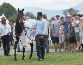 Homebred filly scores Super Easy win