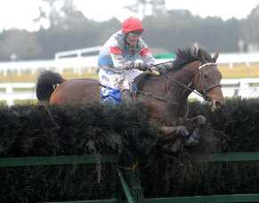 Upper Cut delivers National success For White Robe Lodge and friends